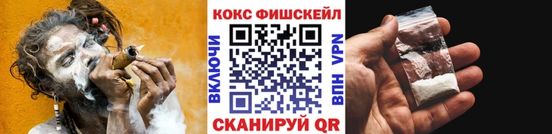 Купить закладки  Тара  COCAIN Перу 