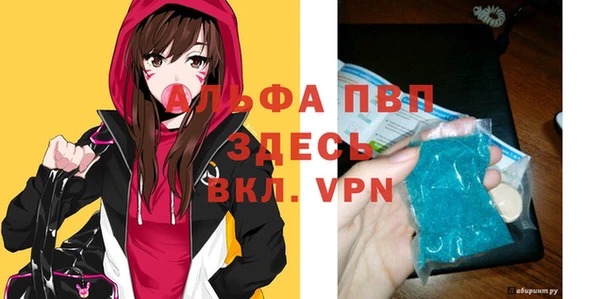 индика Богородицк