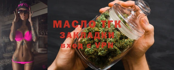 индика Богородицк