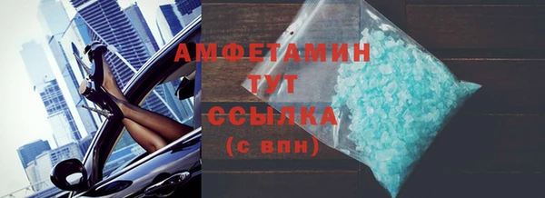 индика Богородицк
