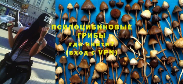 дурь Богородск