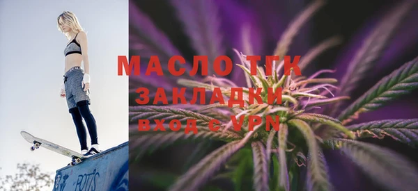 индика Богородицк