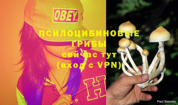 индика Богородицк