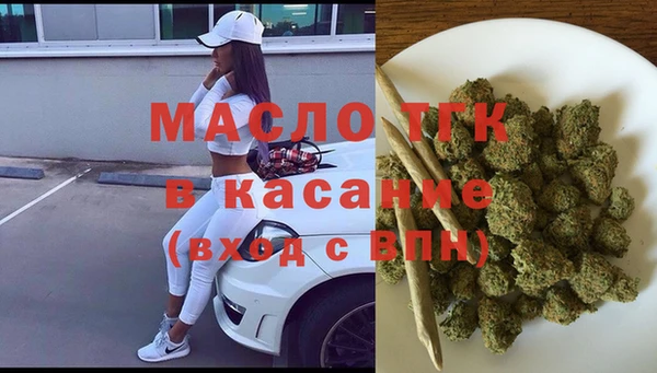 индика Богородицк