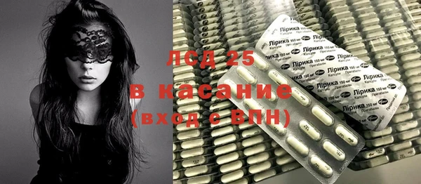 индика Богородицк