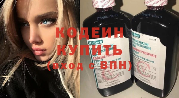 индика Богородицк