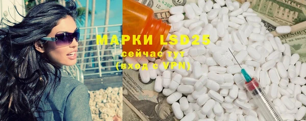 индика Богородицк