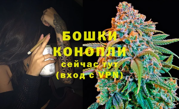 дурь Богородск