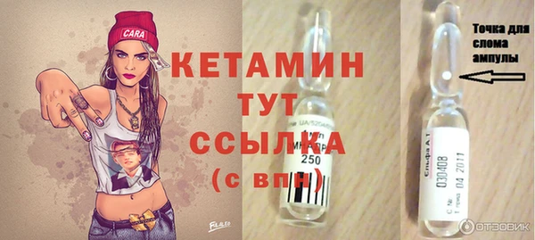 индика Богородицк