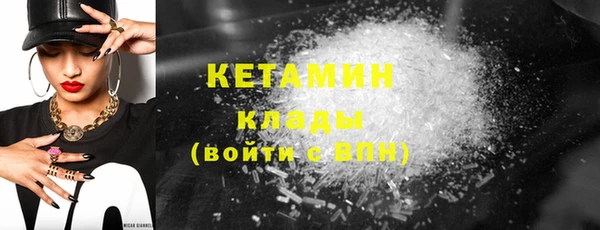 индика Богородицк