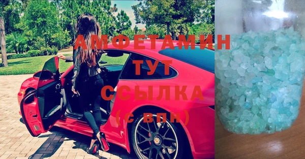 индика Богородицк