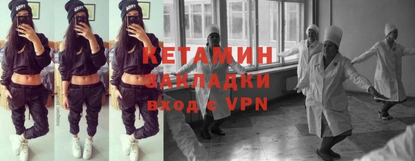 индика Богородицк