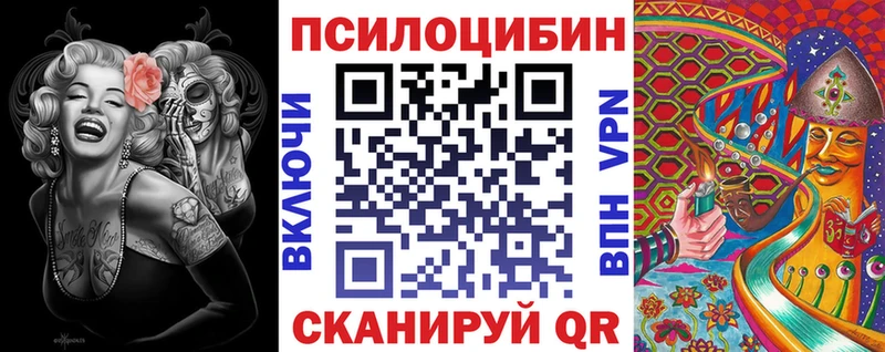 Купить закладки  Тара  Псилоцибиновые грибы мицелий 